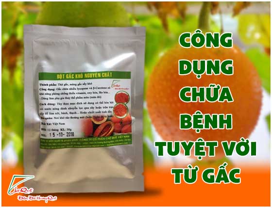 Vị thuốc chữa bệnh tuyệt vời từ gấc